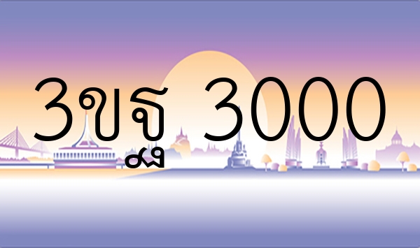 3ขฐ 3000